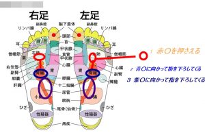 反射区とマッサージするところ